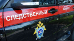 В деле об убийстве экс-мэра Самары и его жены появилась новая версия