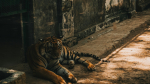Фото: unsplash.com