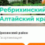 Защиту от фейковых страниц в соцсетях получили 97% госорганизаций в Алтайском крае - ГТРК Алтай