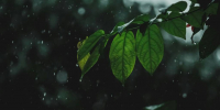 Фото: unsplash.com - Алтайская правда