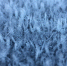 Край опять окажется во власти холодов / Фото: unsplash.com / Chris Greninger - ИА Амител
