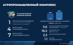 Отчет о результатах деятельности Правительства Алтайского края за 2024 год