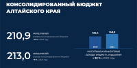 Отчет о результатах деятельности Правительства Алтайского края за 2024 год - Администрация Алтайского края