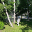 11 парков Бийска обработают от комаров - Телеканал Катунь 24