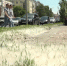 В краевой столице начался сезон цветения тополей - ГТРК Алтай