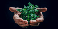 Фото: unsplash.com - Алтайская правда