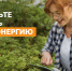 Алтайэнергосбыт: новый счёт уже в личном кабинете - Сетевое издание Толк