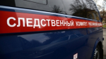 Следователями СК России по Алтайскому краю возбуждено уголовное дело по факту хулиганства с применением оружия в городе Барнауле