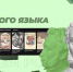 День русского языка - Краевой дворец молодежи