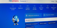 Аккаунт на Госуслугах взломали у юной жительницы Алтайского края - Сетевое издание Толк