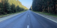 Фото: unsplash.com - Алтайская правда
