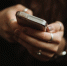 Фото: unsplash.com - Алтайская правда