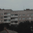 Фото: unsplash.com / panelkacore - Алтайская правда