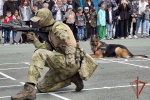 21 июня - День образования кинологических подразделений Росгвардии