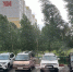 Ураган в Барнауле 21 июня / Фото: amic.ru - ИА Амител