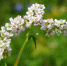 Фото: pixabay.com - ИА Амител