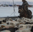 Фото: Сайлюгемский нацпарк - Алтайская правда