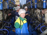 В Алтайском крае назвали победителей конкурса профессионального мастерства среди операторов машинного доения