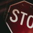Фото: unsplash.com - Алтайская правда