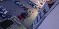 Уголовное дело о стрельбе по детской площадке в Барнауле передали в суд - Сетевое издание Толк