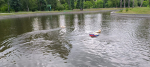 В Центре талантов ФМ «Барнаул» завершена летняя образовательная смена «Юные изобретатели»