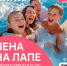 Пенная вечеринка на "Лапе" - Сетевое издание Толк