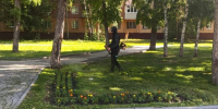 Покос травы в Барнауле - Сетевое издание Толк