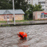В Барнауле дорожники следят за пропуском дождевой воды в ливневки - Комсомольская Правда
