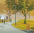 «Зеленая аллея»: по программе инициативного бюджетирования на территории микрорайона «Поток» будет благоустроена пешеходная зона - Администрация г. Барнаул
