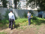 В Барнауле продолжатся работа экологического отряда «Зеленый феникс»