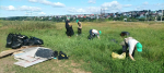 В Барнауле продолжатся работа экологического отряда «Зеленый феникс»