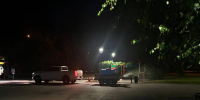 Фото: мэрия Барнаула - Алтайская правда