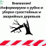 Минприроды по Алтайскому краю информирует о рубке и уборке сухостойных и аварийных деревьев - Минприроды Алтайского края