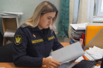 Профессиональные взыскатели под контролем судебных приставов