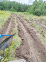 На пригородной территории проводится работа по обновлению минерализованных полос