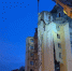 Фото: телеграм-канал Романа Бусаргина - Алтайская правда