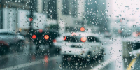 Фото: unsplash.com - Алтайская правда