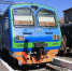 Фото: dzen.ru - НИА Алтай