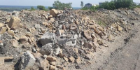 Свалка в Октябрьском районе Барнаула ликвидирована - Минприроды Алтайского края