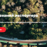 Фото: exportcenter.ru - НИА Алтай