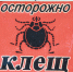 Больше 1,2 тысячи детей пострадали от укусов клещей на Алтае - Комсомольская Правда