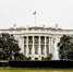 После переговоров Путина и Трампа Зеленский летит в США за разъяснениями 18 августа - Сетевое издание Толк
