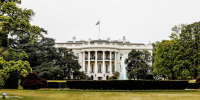 После переговоров Путина и Трампа Зеленский летит в США за разъяснениями 18 августа - Сетевое издание Толк