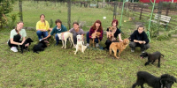 В Ленинском районе волонтеры оказали помощь подопечным из приюта для животных «Ласка» - Администрация г. Барнаул