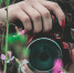 Фото: unsplash.com - Алтайская правда