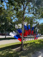 Улицы района украшают ко Дню Государственного флага
