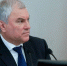 Вячеслав Володин / Фото: duma.gov.ru - ИА Амител