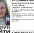 Источник: поисковый отряд "ЛизаАлерт" Алтайского края - ИА Амител