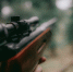 Фото: unsplash.com - Алтайская правда