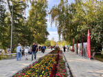 Около 80 оригинальных цветочных композиций представили на праздничной площадке Дня города в Центральном районе Барнаула